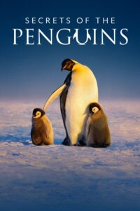 Secrets of the Penguins: Season 1