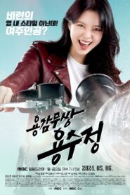 용감무쌍 용수정: Season 1